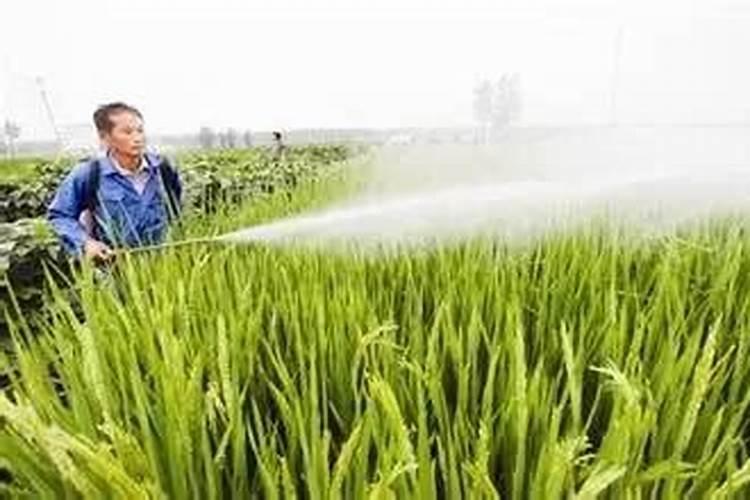 农药、化肥和植物生长调节剂,该如何混搭使用？