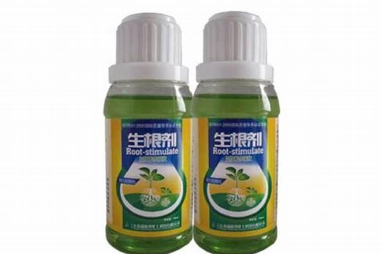 生根剂可以直接浇花吗