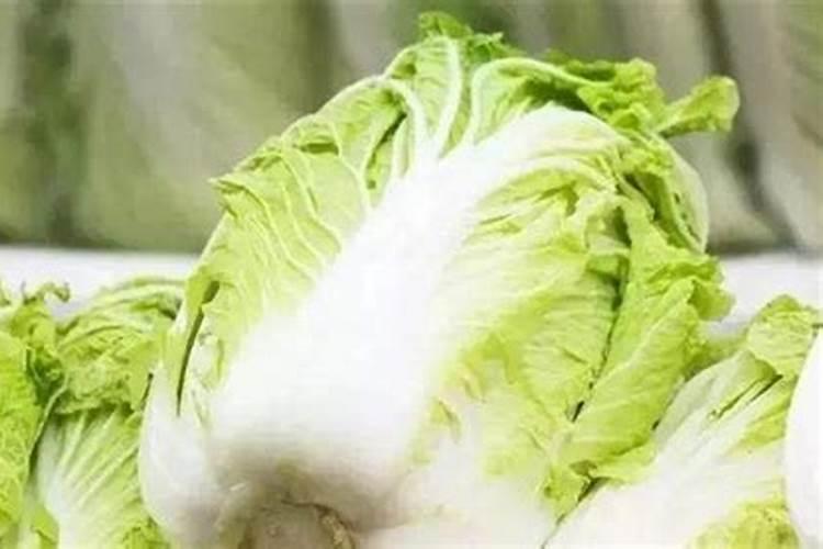 白菜不包心是什么原因？白菜不包心怎么办？