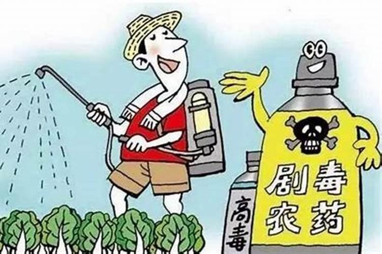 警惕隐患：配搭烟草农药的安全之道