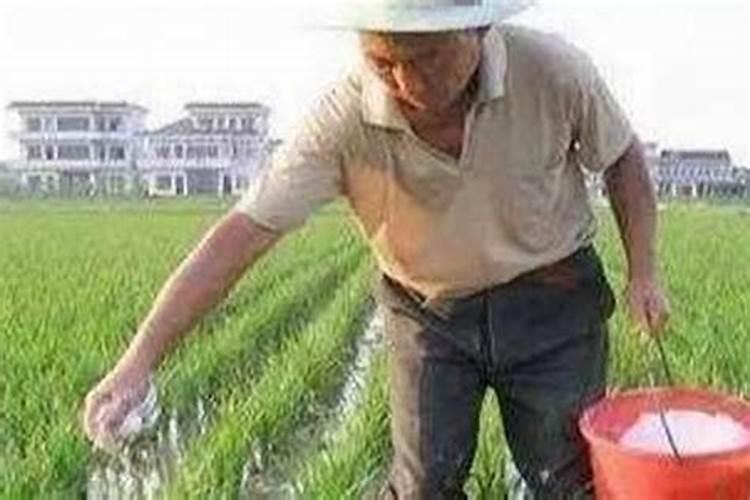 磷肥施用过量的后果,磷肥施用过量怎么补救