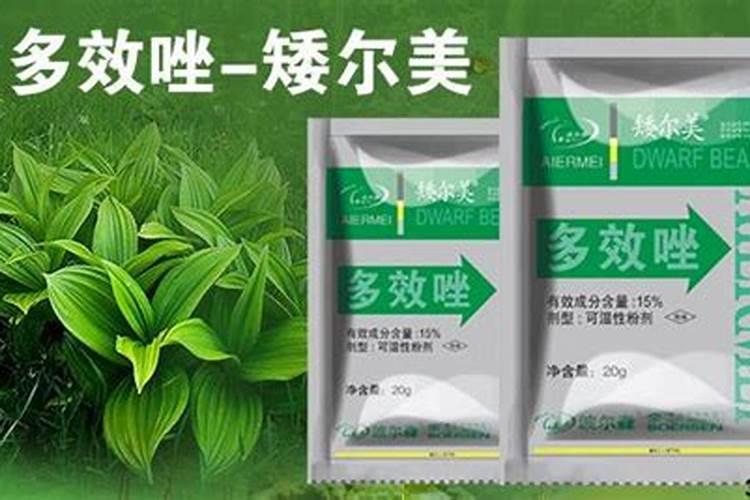 异丙隆除草剂如何使用异丙隆除草剂使用注意事项