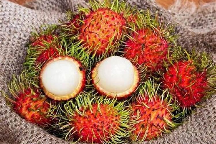 红毛丹的水肥管理技术：确保果实饱满与品质卓越