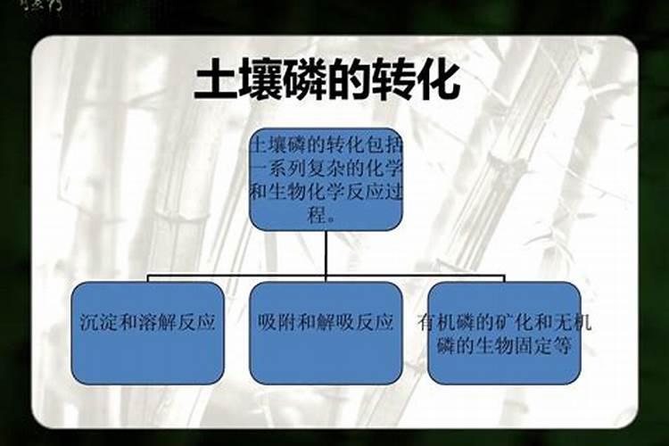 减少土壤中磷固定的途径
