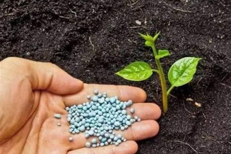如何有效解除土壤对磷肥的固定作用