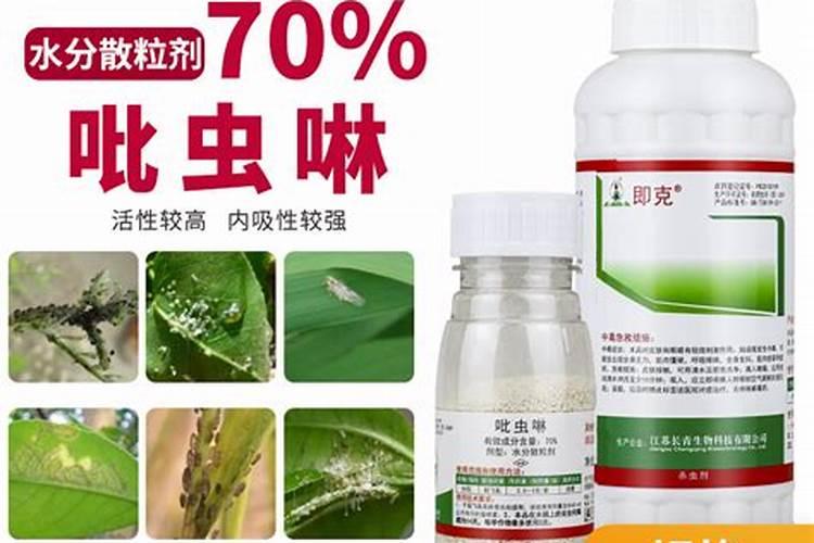 百分之十的吡虫啉能杀蓟马吗？