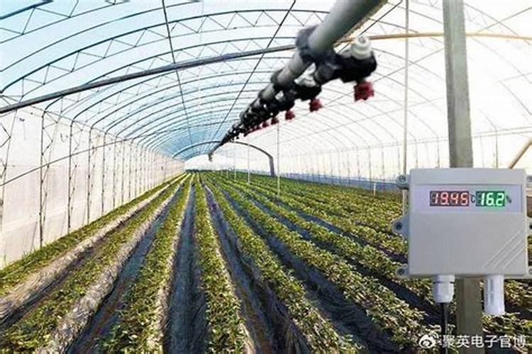 怎样做才能提高温室内的温度,有效地预防冷害、冻害的发生？