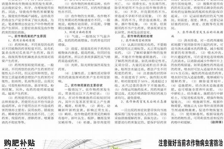 农药药害的发生原因及预防措施(2)