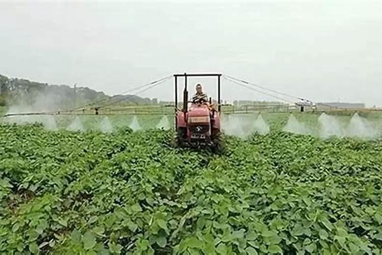夏大豆田化学除草效果提升策略？