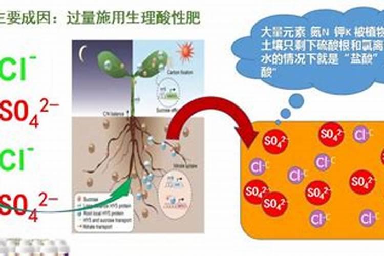 土壤酸化的危害