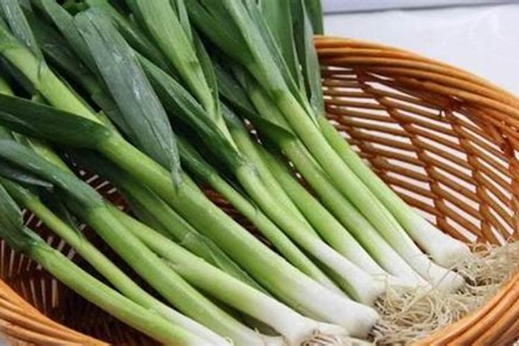 蒜苗繁茂秘籍：掌握科学种植与管理技巧