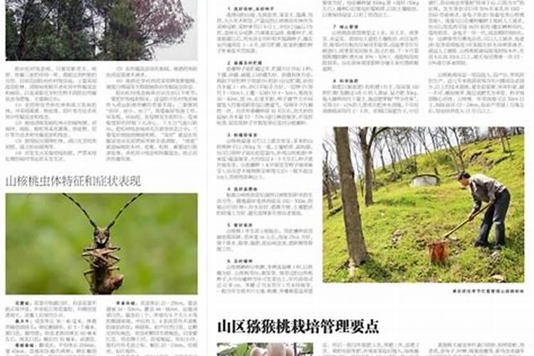 守护绿意盎然：草霉线虫病的防治技术探究