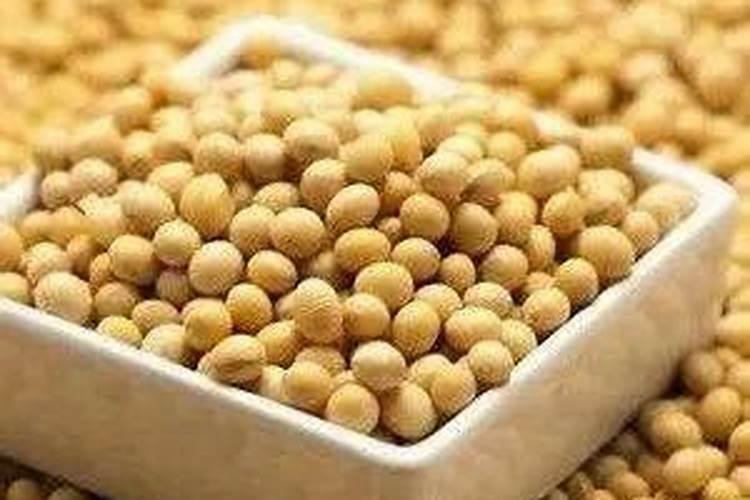 大豆鼓粒时根外喷肥的科学之道
