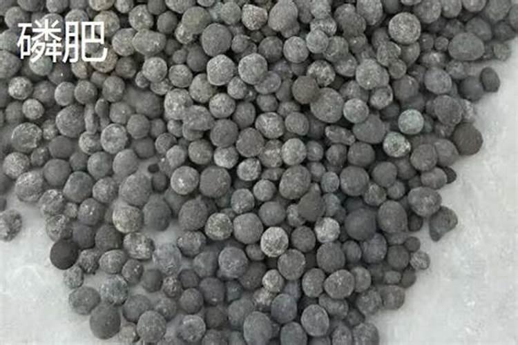 磷肥是重要肥料之一,用什么方式施用磷肥才能提高养分利用率？