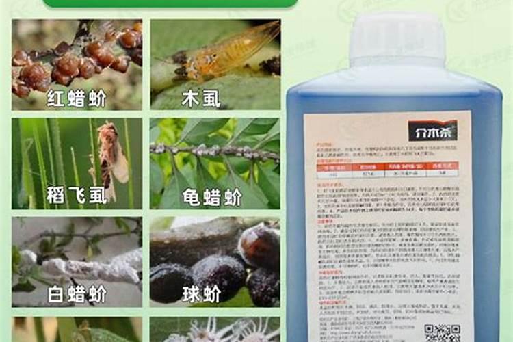 什么农药可以杀死瓢虫