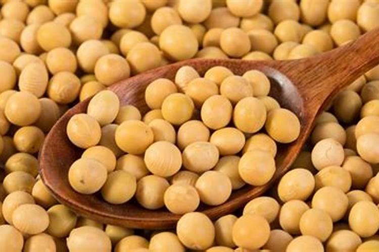 大豆做肥特别简单,有哪些细节需要注意的呢？