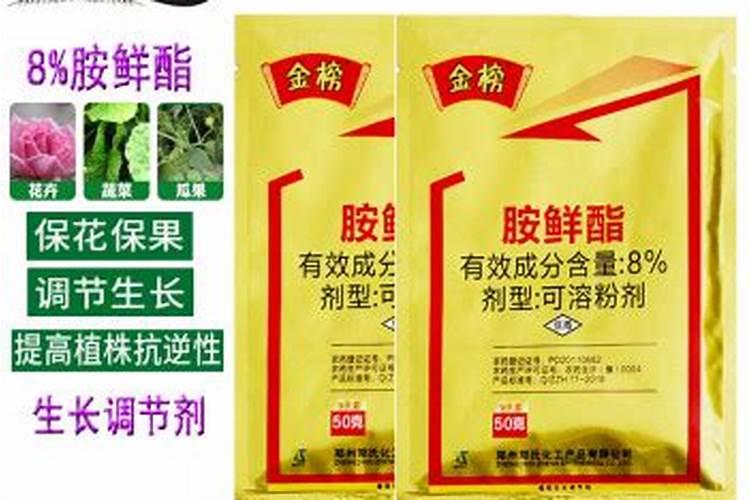 大白菜使用胺鲜酯后还好吃吗？