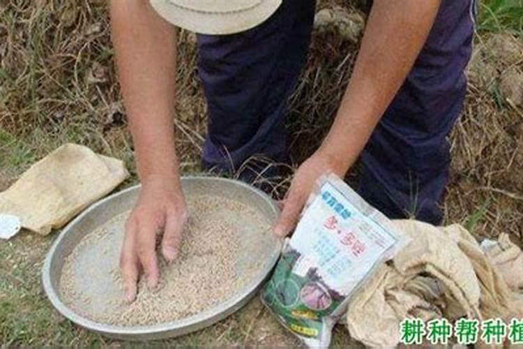 影响农药药效的因素有哪些？