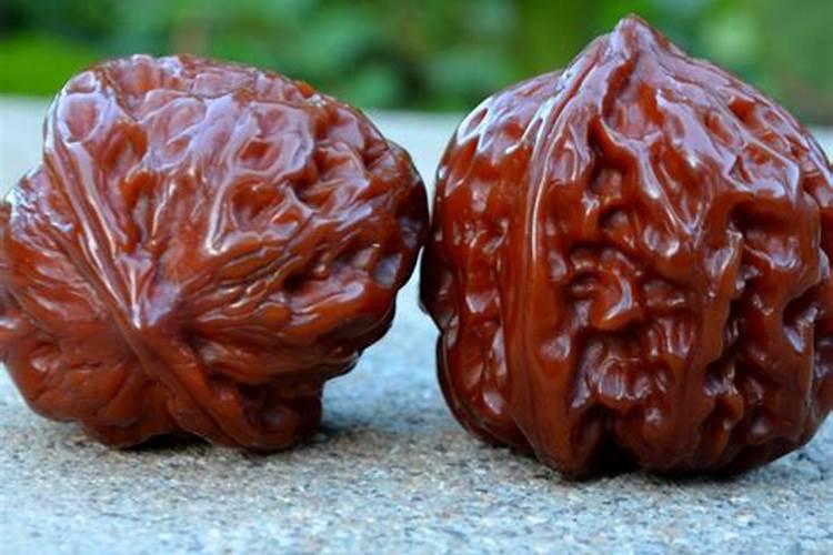 文玩核桃种植在家里可以吗文玩核桃可以在家里种植吗？