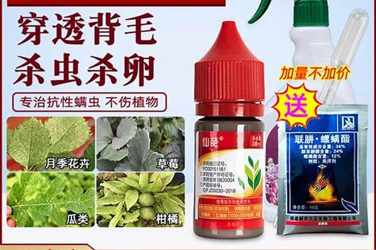 常用的专用杀螨剂有哪些？如何使用？