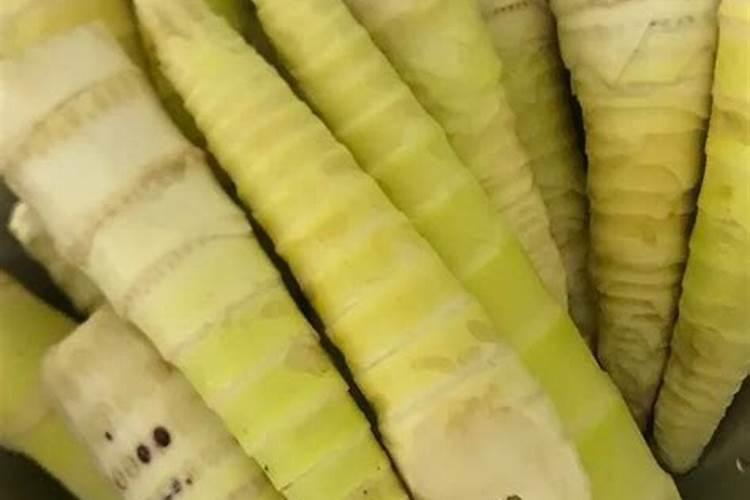 竹笋保鲜贮藏技术与方法：留住春天的味道？