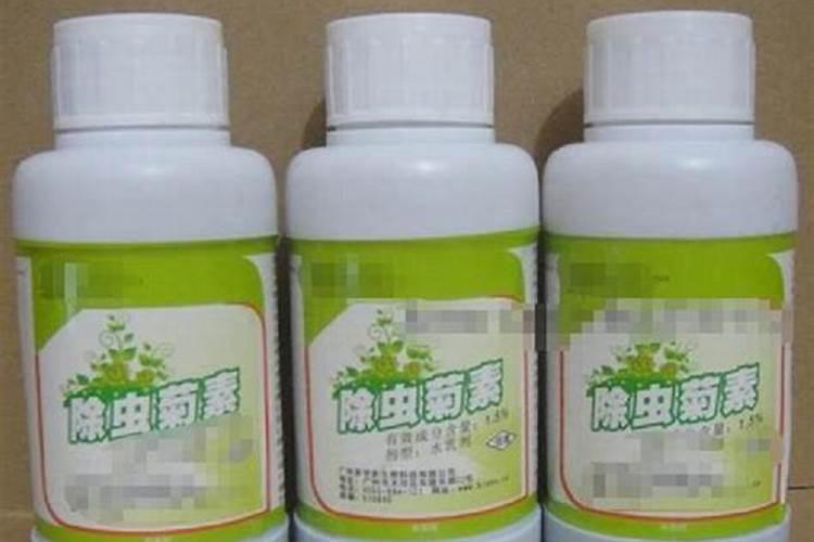 家里养花有了各种<a href=