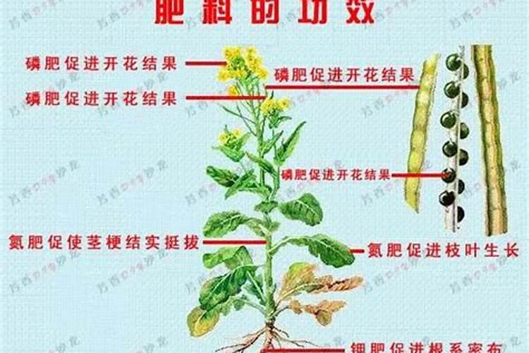 怎么稀释氮磷钾肥水分离出来？