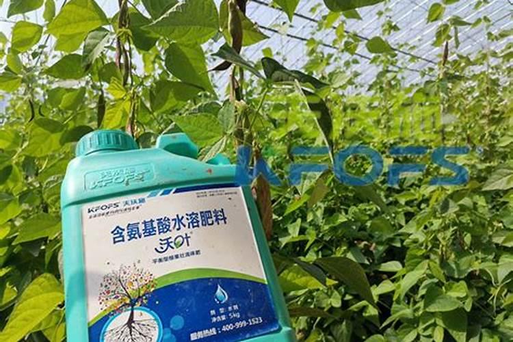 豇豆什么样的水溶肥最好用？