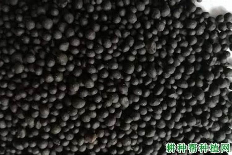 菌肥用多了有没有害
