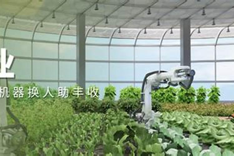 智慧农耕：正确选用复合肥的科学之道