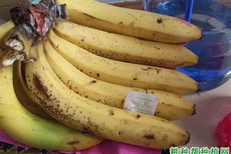 乙烯对香蕉有哪些危害，如何预防乙烯对香蕉造成危害？