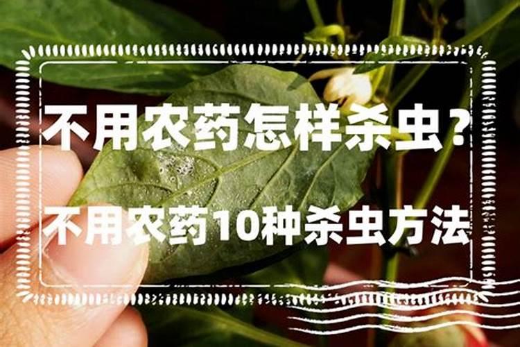 不用农药的杀虫方法有哪些？