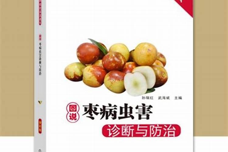 守护甘甜：枣树病虫害防治全攻略