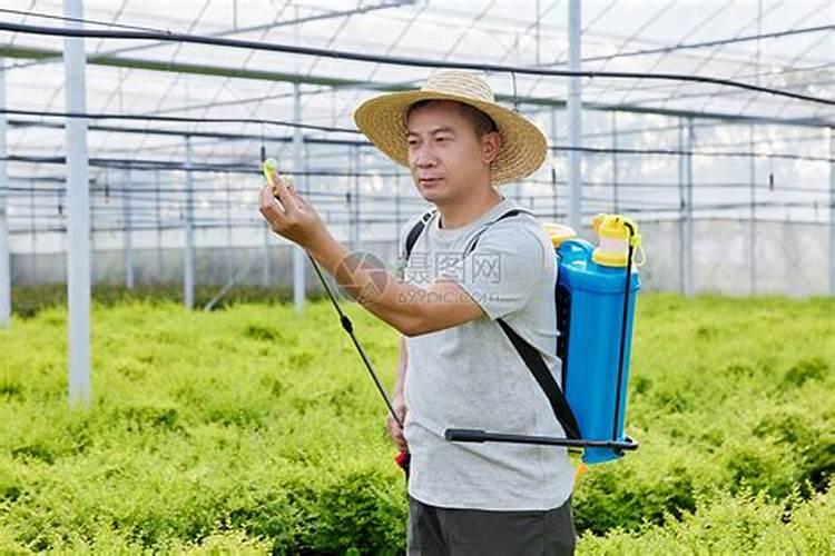 农药喷错了,该怎样快速解药？