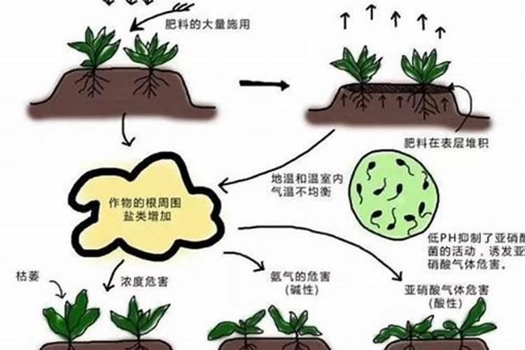 土壤酸化的原因,附改良措施