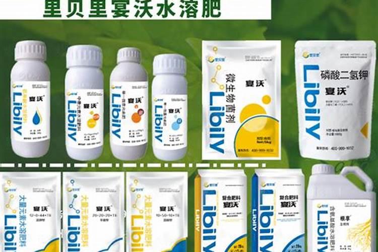 进口磷型水溶肥厂家有哪些？