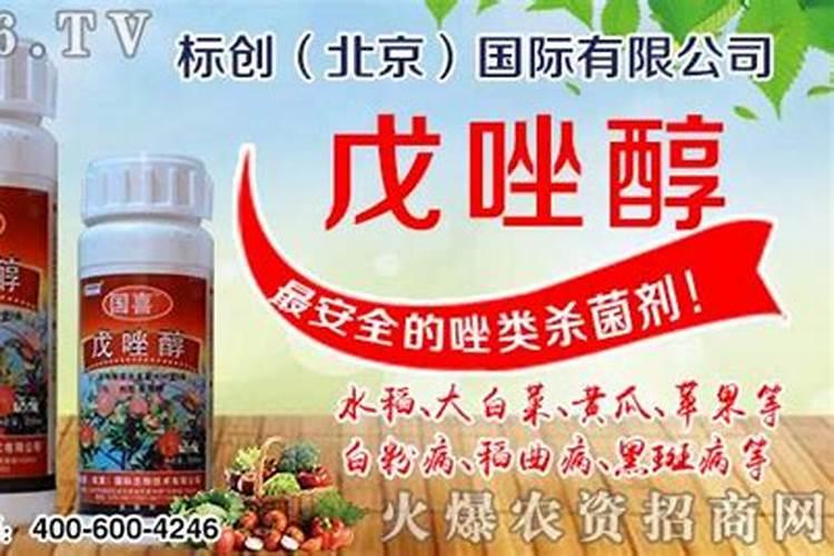 烯唑醇：病害防治的利剑与使用须知