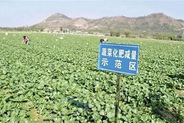 为什么实施化肥使用量零增长白由路答记者问