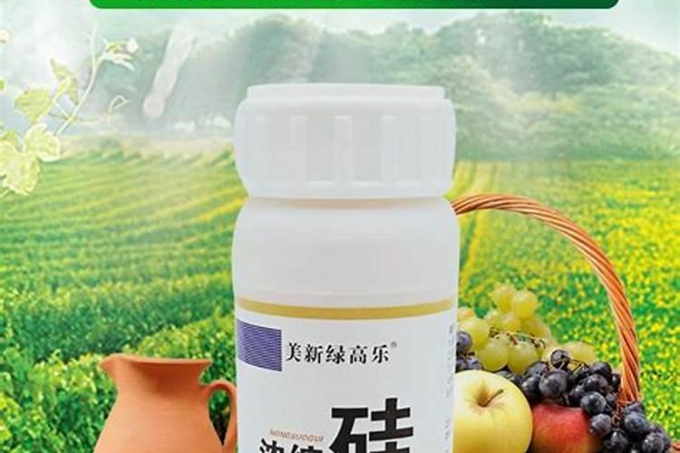 硅肥的作用及使用方法关于硅肥用处及施用方法