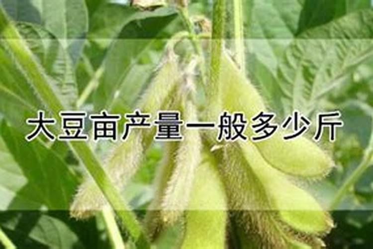 大豆亩产量一般多少公斤？