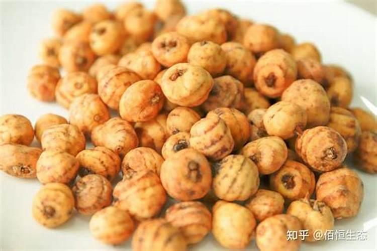 油沙豆是什么植物
