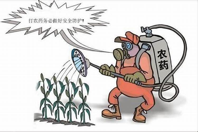 警惕！杀虫剂存放不当，后果不堪设想
