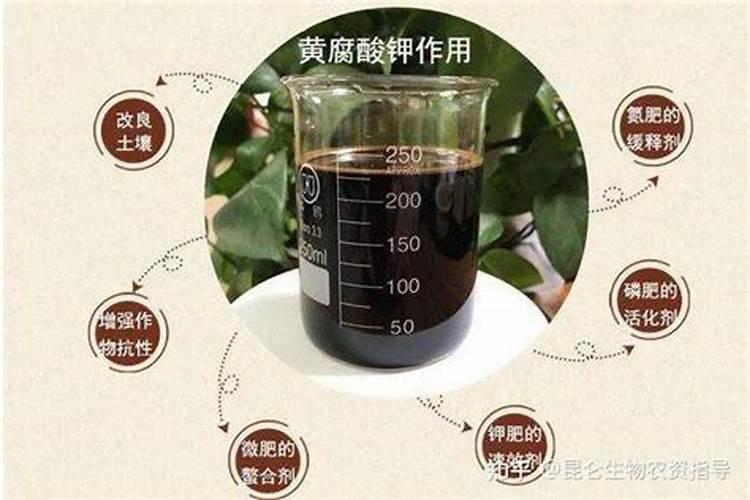 矿源黄腐酸钾放太多了怎么办？