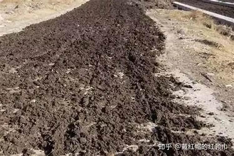 鸭粪可以直接做肥料用吗