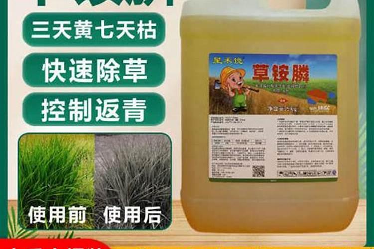 水稻除草剂最厉害是哪种？