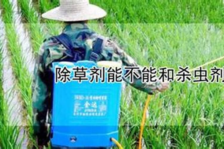 小麦除草剂能不能和杀虫剂和杀螨剂和混用？