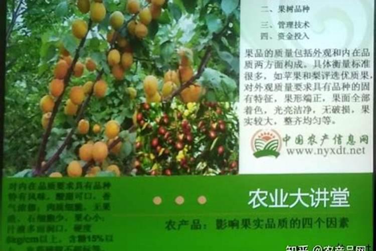 影响瓜果品质和口感的原因有哪些？