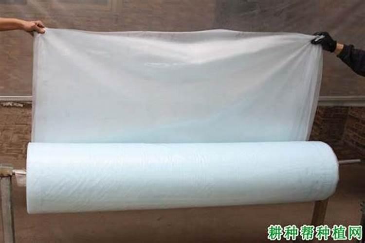 常见的大棚膜有哪些优点和缺点？
