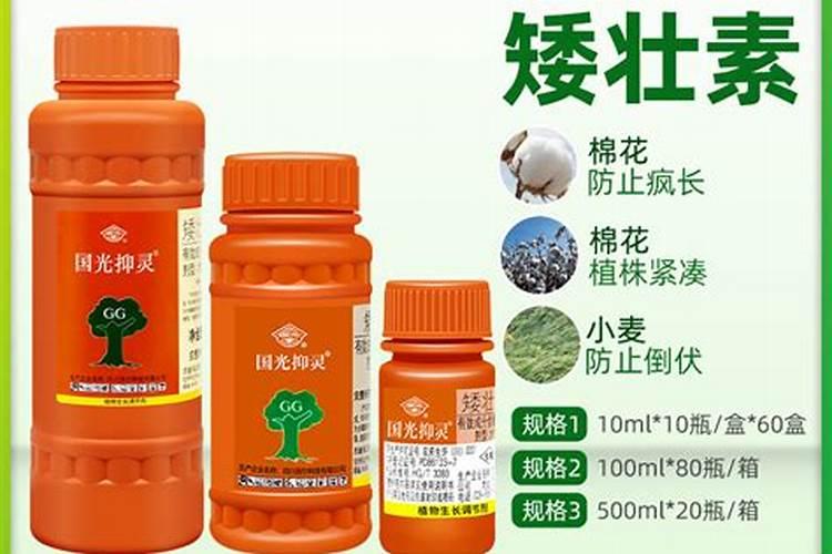 小麦矮壮素什么时间喷施，小麦矮壮素喷施时间？