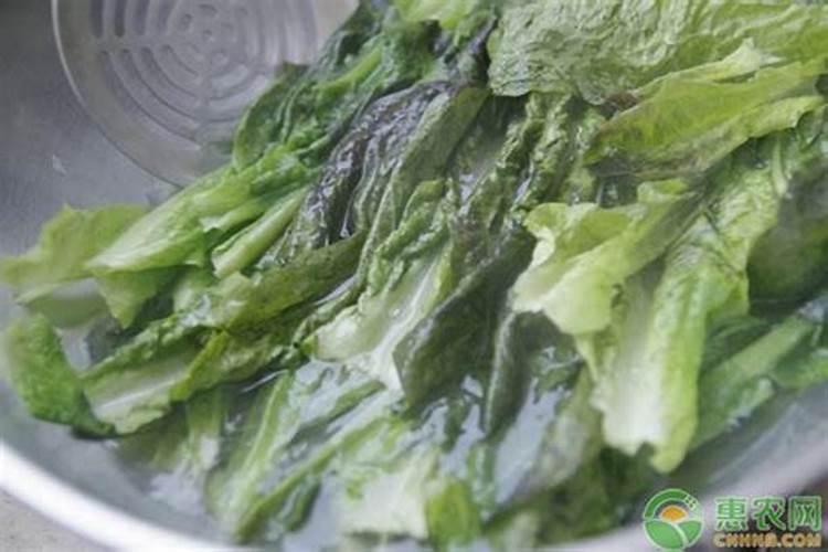 怎样预防莴苣空心？
